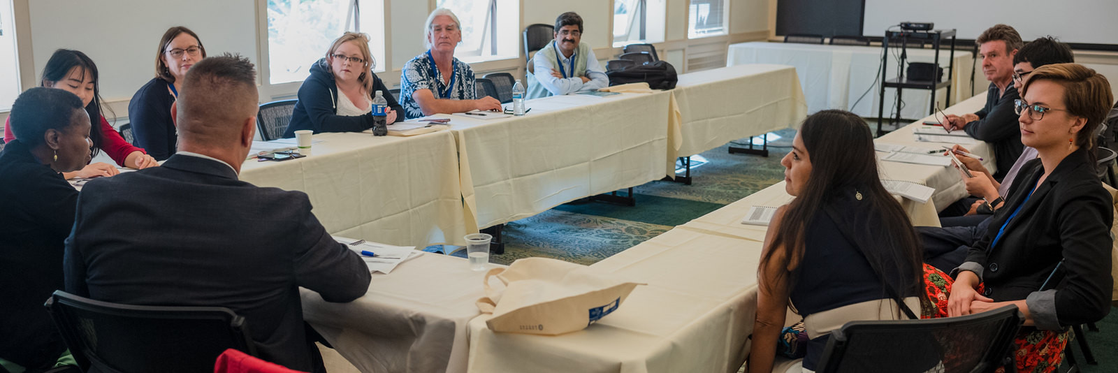 Ninth International Conference on Health, Wellness & Society, University of California, Berkeley, Berkeley, USA (2019)